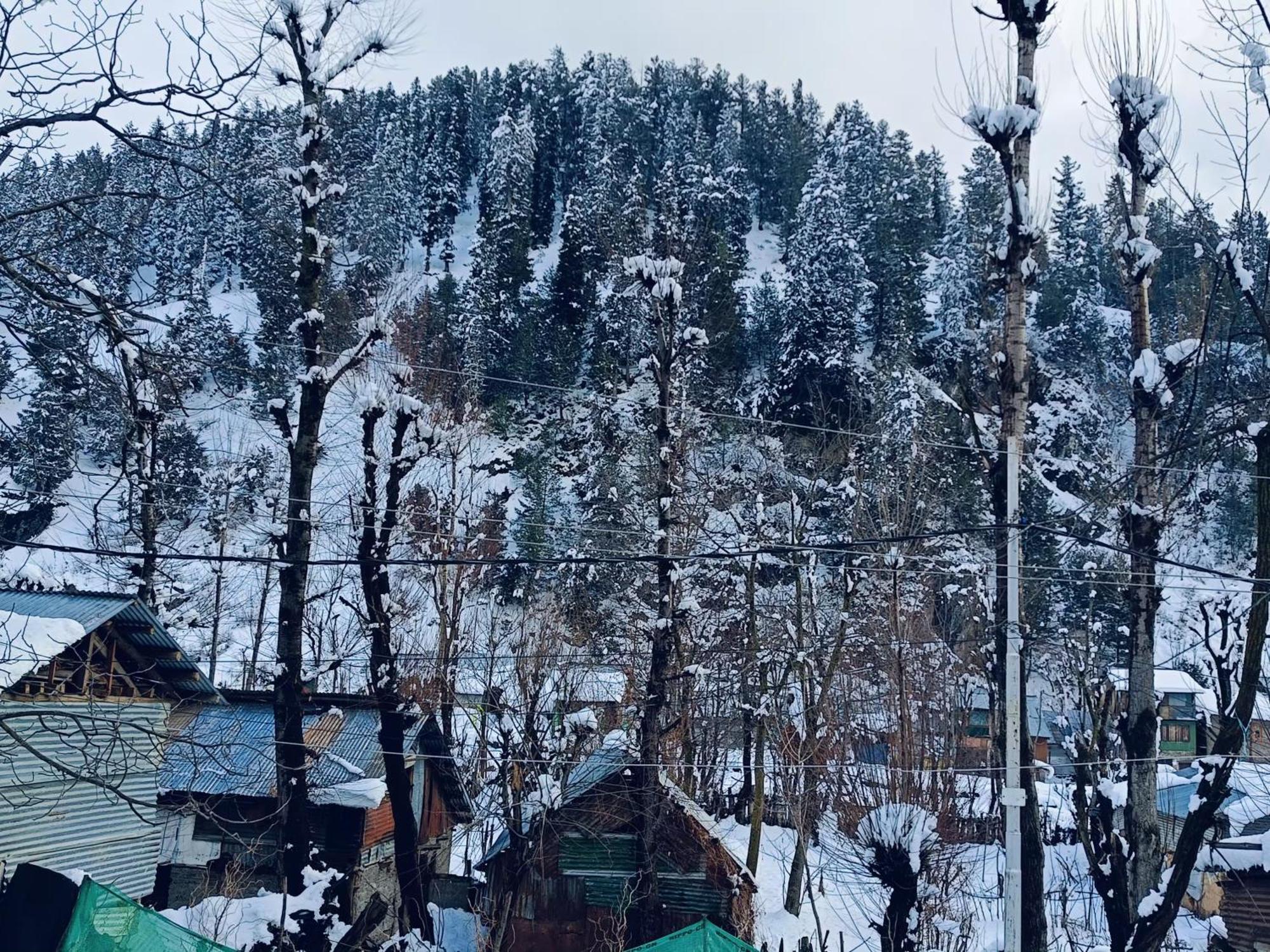 Mir Guest House Pahalgām Exterior photo